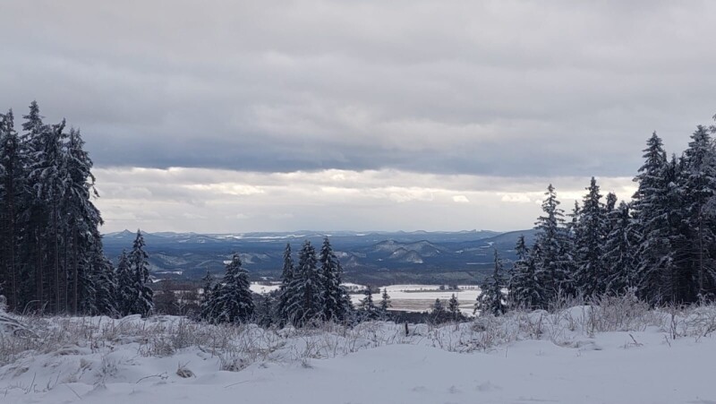 WhatsApp Image 2026-01-27 at 11.11.19 1